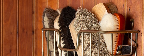 How to Clean Your Horse Brushes
