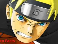 how many episodes of naruto