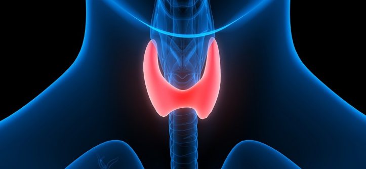 types of autoimmune thyroid disorders