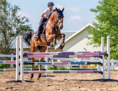 Beginner's Guide to Show Jumping with Aluminium Jumps