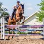 Beginner's Guide to Show Jumping with Aluminium Jumps