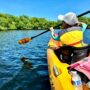 Kayakers and paddleboarders navigating the scenic waters of Oleta River State Park surrounded by lush greenery