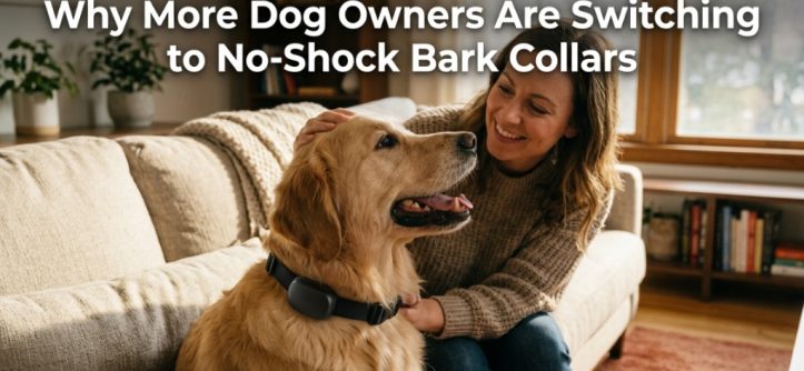 A happy Golden Retriever wearing a modern collar sits next to its smiling owner in a sunny room.