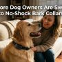 A happy Golden Retriever wearing a modern collar sits next to its smiling owner in a sunny room.