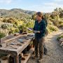 comparing weeding knives on a wooden workbench in a California garden.
